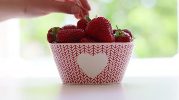 Primer plano de la mano femenina toma fresas maduras de un tazón en la mesa — Vídeos de Stock