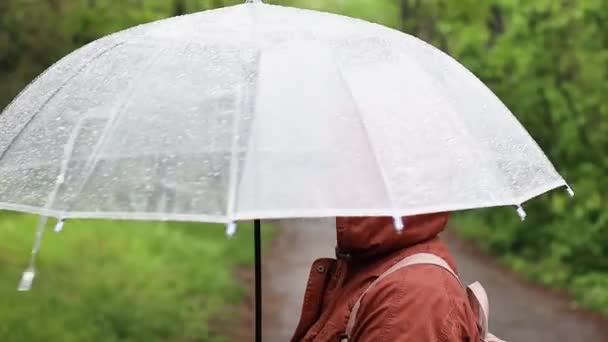 Mujer con paraguas transparente bajo la lluvia en un parque verde de la ciudad. Mal concepto de clima frío — Vídeo de stock