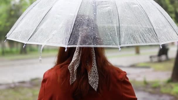 Przezroczyste krople deszczu na parasol, zła pogoda, ulewa błota — Wideo stockowe