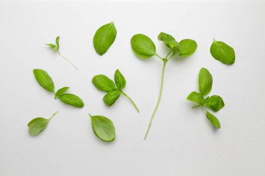 Beyaz arka planda taze yeşil fesleğen seti. Üst Manzara. Düz yatıyordu. Sağlıklı besin bileşimi. Hasat konsepti