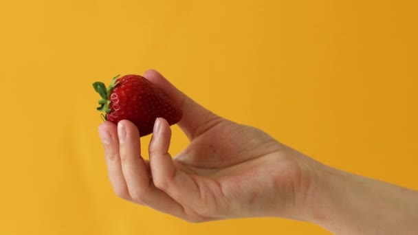 Close up de mão feminina segurando fresco grande morango suculento sobre fundo amarelo. Alimentos saudáveis — Vídeo de Stock