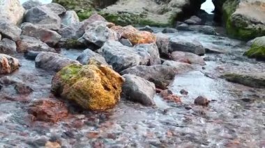 Kayaların üzerinden akan su. Yaz ormanlarında akarsu hızlı akıyor..