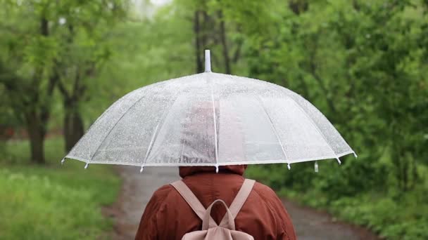 雨の中、透明傘の下で女性のバックビュー、悪天候、泥を注ぐ — ストック動画