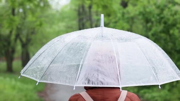 路上で雨の下で透明な傘を持つ女性,クローズアップ,バックビュー — ストック動画