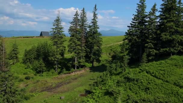 Чудовий природний вид на яскраві вічнозелені соснові лісові гірські пагорби з канатних автомобілів — стокове відео