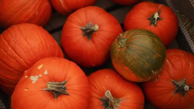 Dışarıdaki çiftlik pazarında tahta kasalarda kırmızı balkabakları sergileniyordu. Kırsal kesimdeki sebzelerde sonbahar hasadı taze balkabakları satışa hazır. Mevsimlik tarım ve gıda geçmişi.