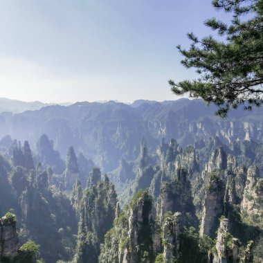 Zhangjiajie Uçurum Dağı Wulingyuan Ulusal Orman Parkı, Çin.