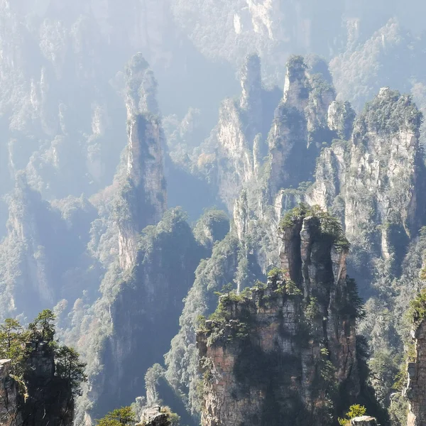 Чжанцзяцзе Скала Национальном Лесном Парке Wulingyuan Китай — стоковое фото