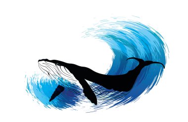 Balina vektör çizimi