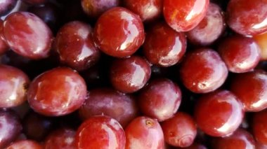 Kırmızı üzüm dönüşünü kapat, Kırmızı üzümün Yavaş Çekimi
