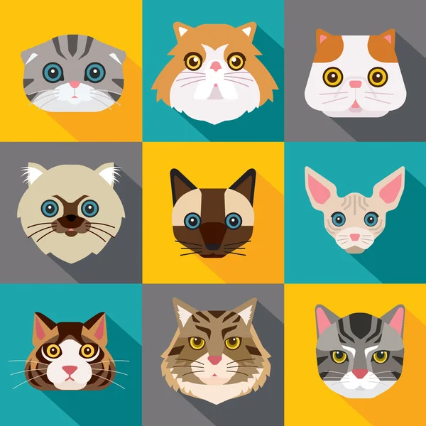 Chats — Image vectorielle