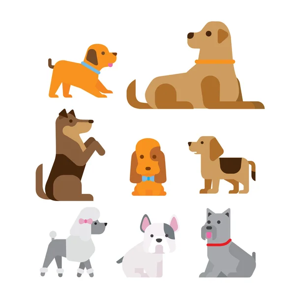 Recogida de perros — Vector de stock