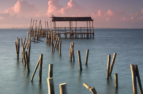 Die Seebrücke der Möwen — Stockfoto