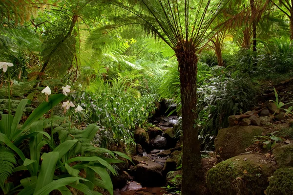 Jardín del Edén — Foto de Stock