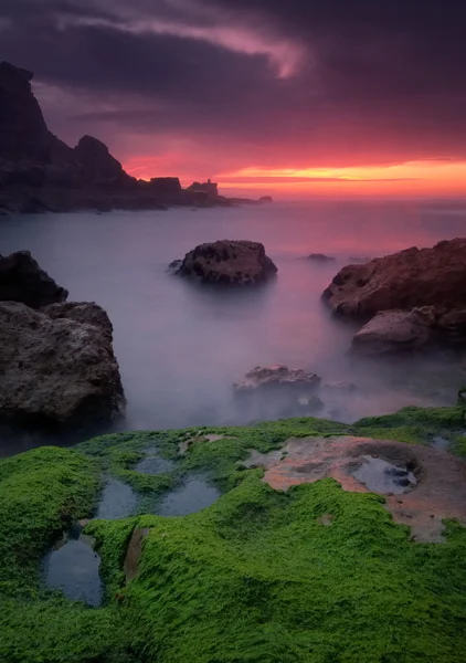 Verde sulla roccia — Foto Stock