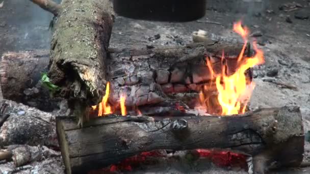 Yakın çekim, alt pot yangın — Stok video