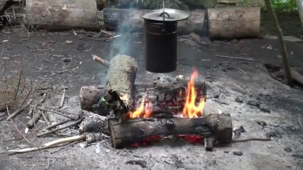 Camp pot kampvuur koken — Stockvideo