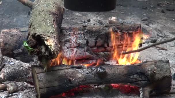 Houten stokken in het vuur — Stockvideo