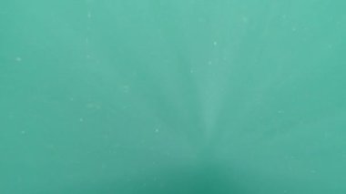 Güneş ışınlarıyla sualtı görüntüsü, doğal arka plan. Yeşil Derinlik, Gün