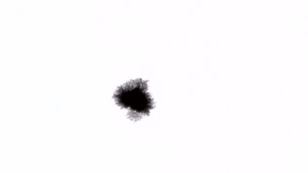 Přetáhněte černý inkoust blot blob — Stock video