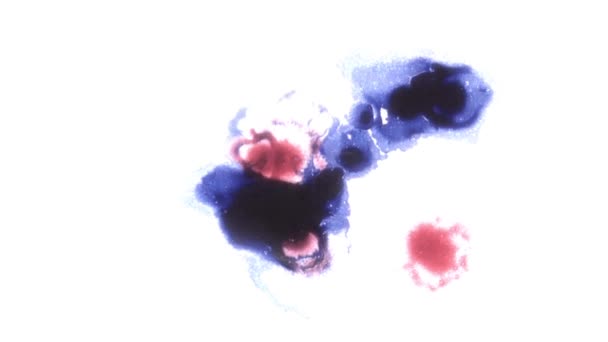 Синие и красные капли акварельного абстрактного фона — стоковое видео