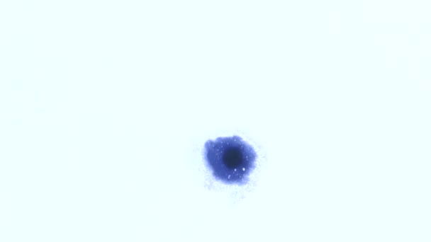 Сині краплі акварельного абстрактного фону — стокове відео