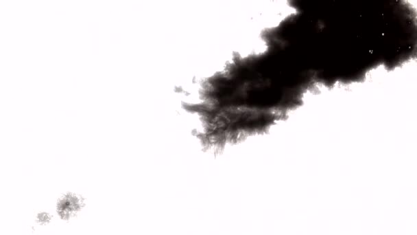 Падіння чорного чорнила пляма блоку — стокове відео