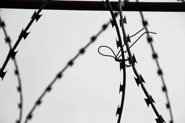 Barbed wire on the fence — Stock Photo, Image