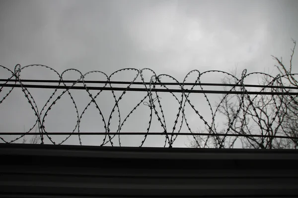 Barbed wire on the fence — Stock Photo, Image