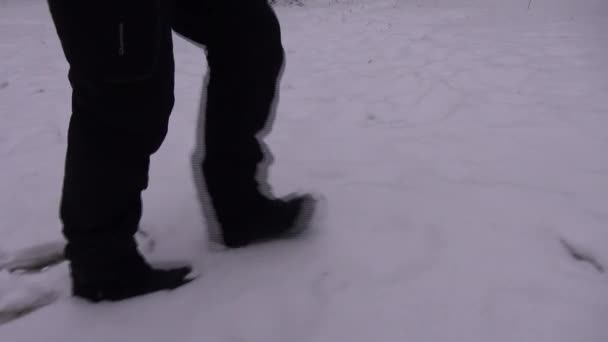 En hiver, les gens marchent sur la neige — Video