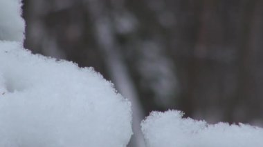 Band kar kar yağışı sırasında kar taneleri ile kaplı