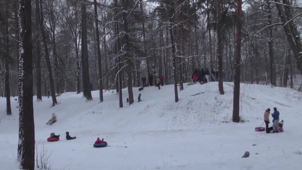 家庭与儿童坐雪橇滑下雪山在公园里 — 图库视频影像