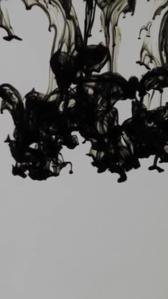 Капли чернил разбросаны по воде — стоковое видео