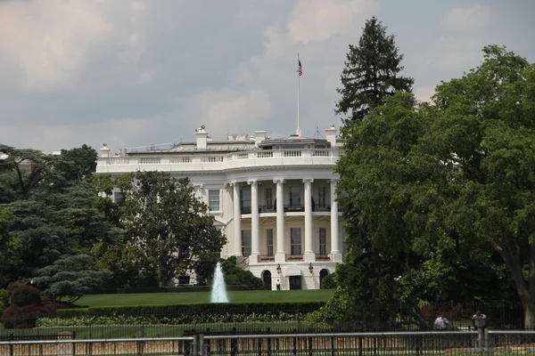 Çim Beyaz Saray manzarası