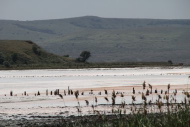 Çamur ile tedavi Tuz Gölü
