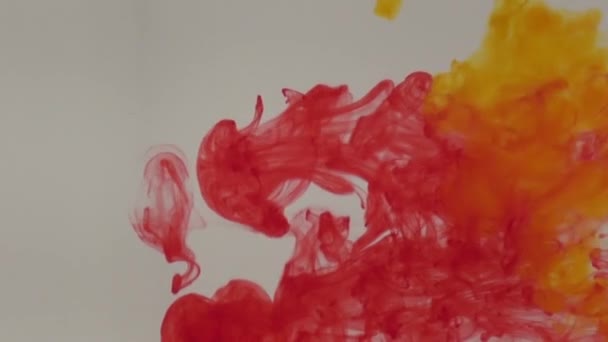 Encre bleue, verte, jaune et rouge dans l'eau — Video