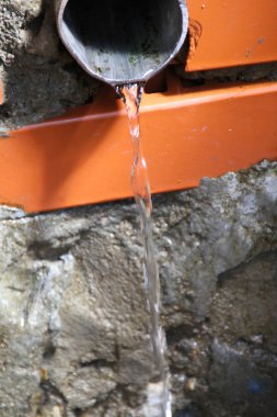 Bahar St. George's Khimki Forest Grove