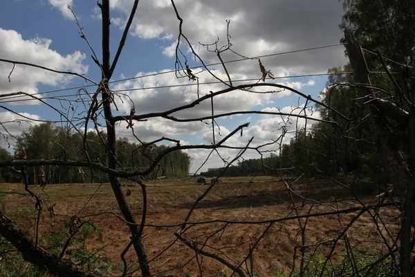 Εκκαθάριση υπό εξέλιξη μέσα στο δάσος του khimki κοντά στο στρατόπεδο των υπερασπιστών της στο δάσος του khimki — Φωτογραφία Αρχείου