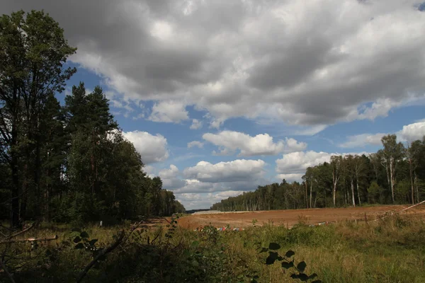 Clearing under way in the Khimki forest near the camp of the defenders of the Khimki forest — Stock Photo, Image