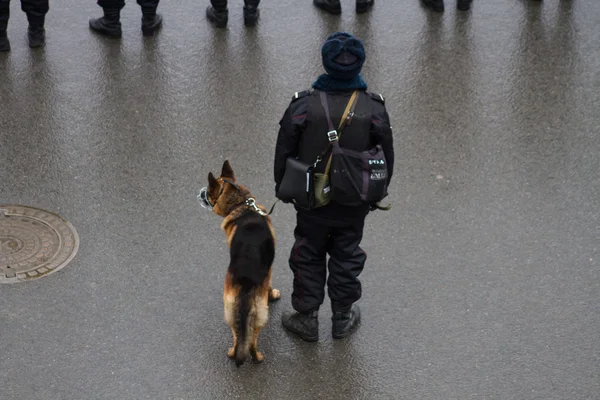 ロシアの警察と 3 月反抗的な犬 — ストック写真