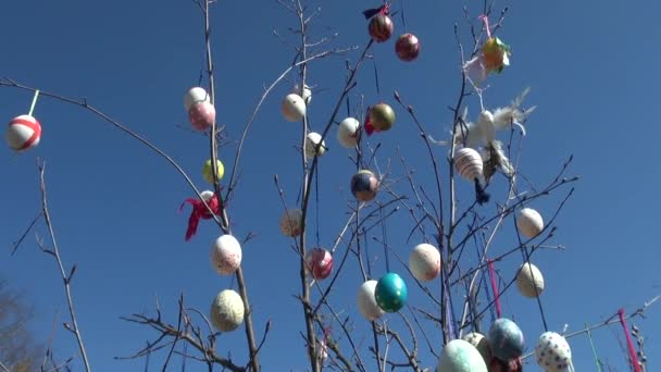 Ciel bleu Fond festif peint oeufs de Pâques branches arbre — Video