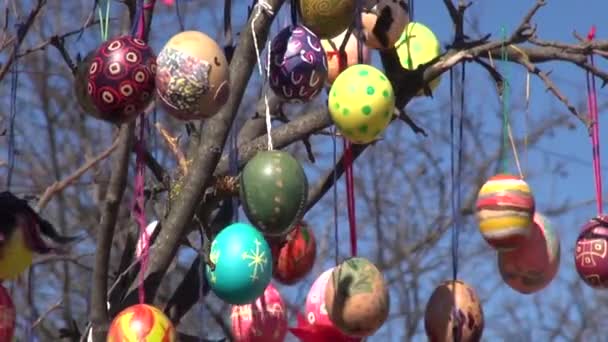 Festlicher Hintergrund bemalte Ostereier Äste Baum — Stockvideo