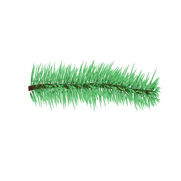 Borstel groene Christmas tree branch — Stockvector