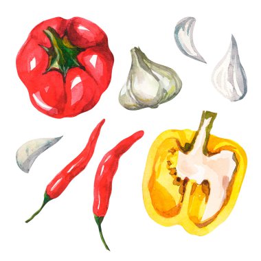 Beyaz arka planda sebzeli suluboya seti. Mevsimlik sebzeler izole. Taze sebzelerle tırman. Sağlıklı ve sağlıklı yiyecekler. Kırmızı dolma biber, sarımsak, acı biber, sarı dolma biber..