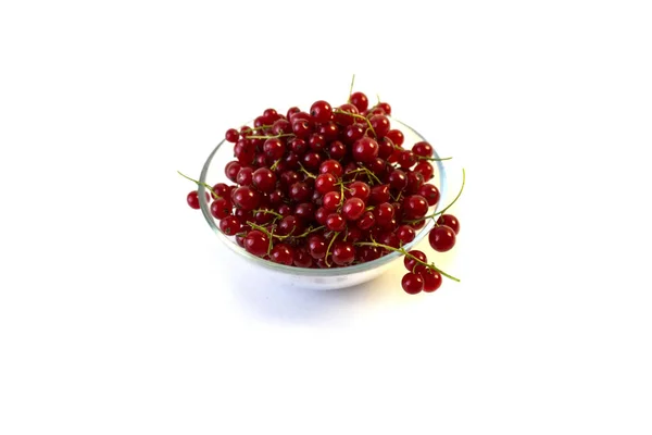 Terisolasi Pada White Background Red Currant Berries Dalam Sebuah Plat — Stok Foto