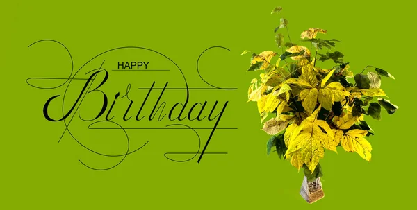 Postcard Internet Banner Flat Lay Birthday Greeting Inscription Happy Birthday — Stock Photo, Image