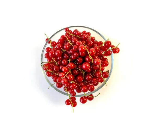 Terisolasi Pada White Background Red Currant Berries Dalam Sebuah Plat — Stok Foto