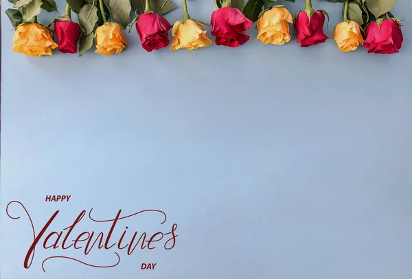 Днем Святого Валентина Картка Онлайн Банер Листівка Вітання Плоть Лежала — стокове фото