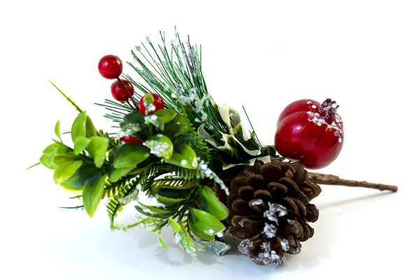 Christmas Branch Berries Cone Covered Snow Close Stock Image