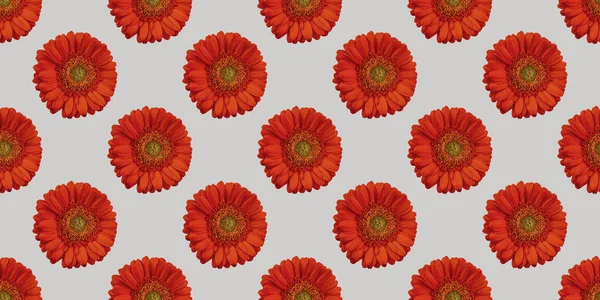 Vacker Bakgrund Med Blommor Sömlös Mönster Med Röd Gerbera — Stockfoto